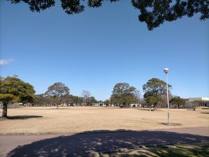 宮崎総合文化公園