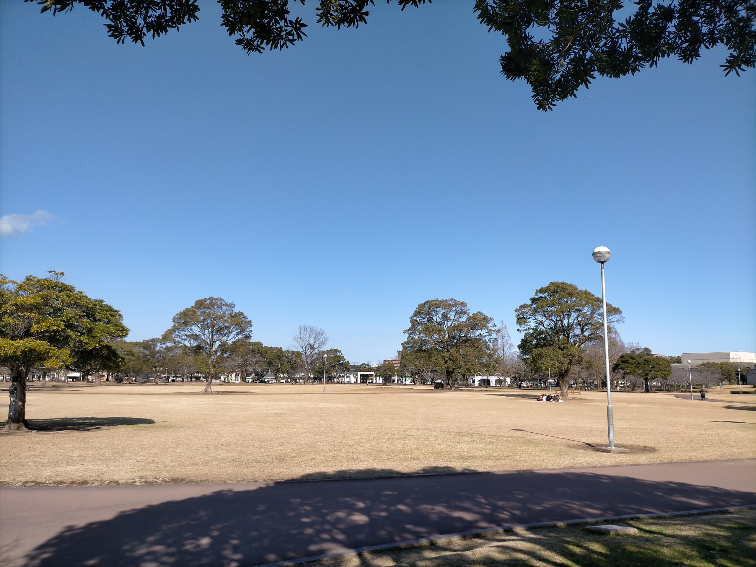 宮崎総合文化公園